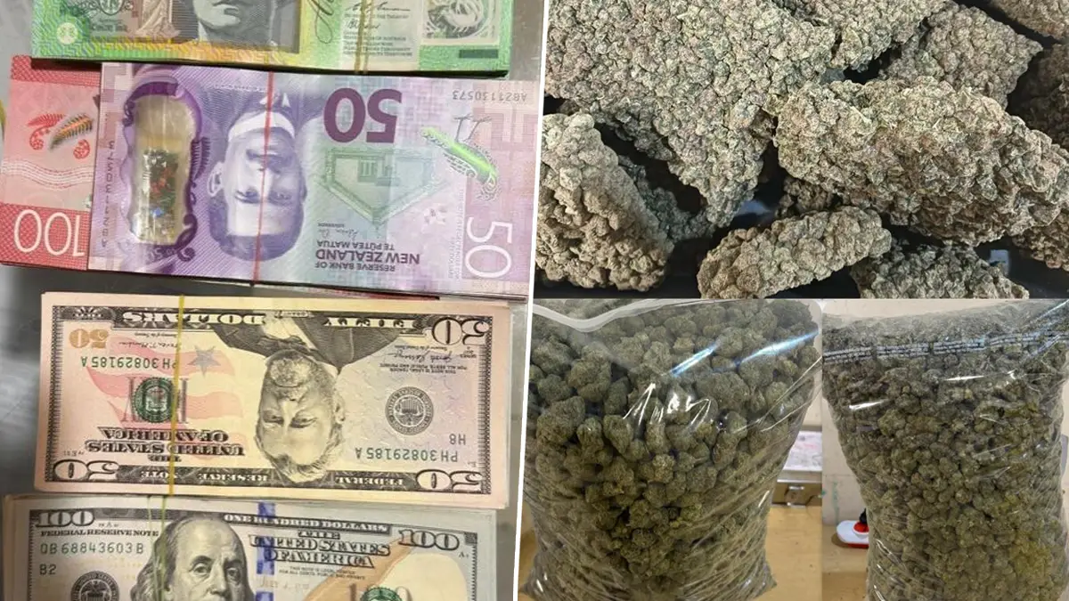 Mumbai: মুম্বই বিমানবন্দর থেকে উদ্ধার কোটি টাকার বেআইনি মাদক ও বিদেশি মুদ্রা, আটক ২ যাত্রী