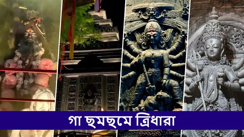 Tridhara Aghori Dance Video Durga Puja 2025: গা ছমছমে ত্রিধারায় অঘোরীদের নাচ দেখার রেকর্ড ভিড়, পারফরম্য়ান্স শেষে মুগ্ধ দর্শনার্থীরা