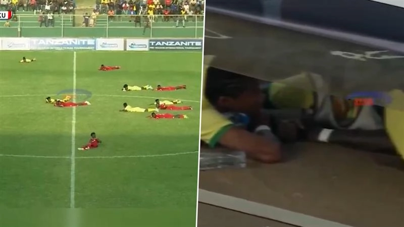 Bee Attack in Football Match: ফুটবল ম্যাচে মৌমাছির আক্রমণ! মাঠে, স্টেডিয়ামে শুয়ে প্রাণ বাঁচল তানজানিয়ার তারকাদের; দেখুন ভিডিও