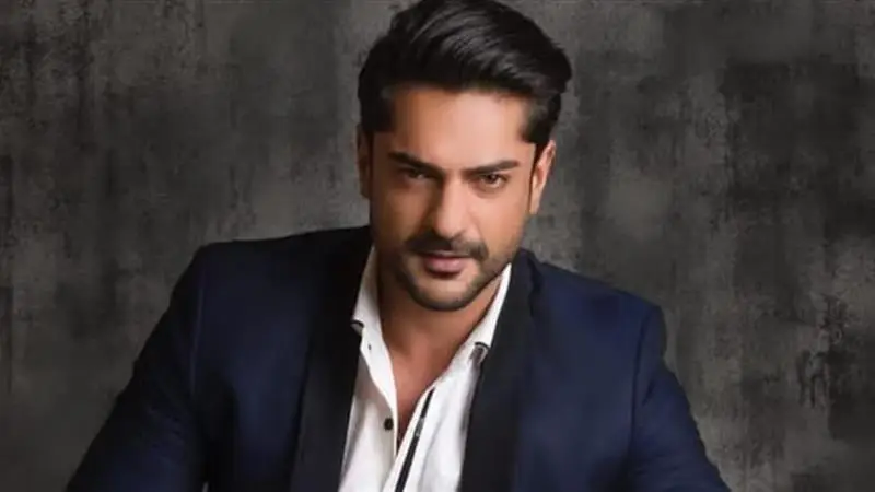 Actor Ashish Kapoor Arrested: সোশ্যাল মিডিয়ায় পরিচয়, অনুরাগীকে পার্টিতে ডেকে ধর্ষণ, গ্রেফতার অভিনেতা