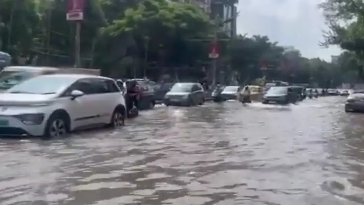 Kolkata Rain: বুধ সকালে রোদের দেখা মিললেও, জল সরেনি বহু এলাকায়, দেখুন বালিগঞ্জে এখনও বইছে স্রোত