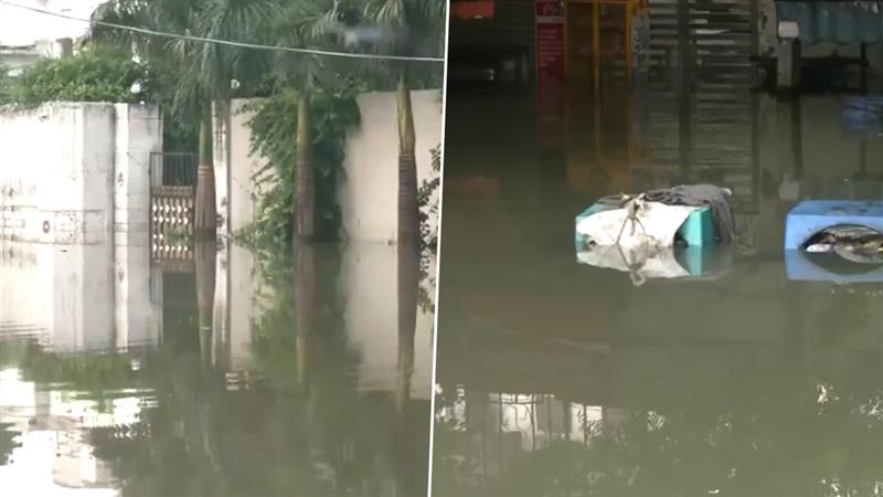 Delhi Flood: যমুনার জলে ভাসছে দিল্লি, বিপর্যস্ত জনজীবন, দেখুন ভিডিয়ো