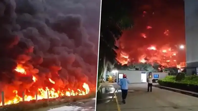 Fire In Gujarat: গুজরাটের কারখানায় ভয়াবহ অগ্নিকাণ্ড, কয়েক কিলোমিটার দূর পর্যন্ত ছড়াল কালো ধোঁয়া, দেখুন ভিডিয়ো