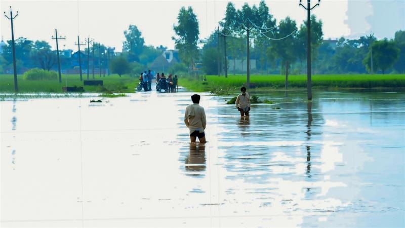Weather Update: সাগরে ঘণীভূত নিম্নচাপ, বৃষ্টি শুরু বাংলায়, উত্তরের রাজ্যগুলিতে জারি লাল, কমলা সতর্কতা, একটানা বর্ষণে ধসের ভয়েও কাঁপছে মানুষ