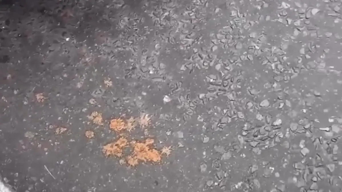 Viral Video: লন্ডন না কানপুর? ইউরোপের রাস্তা ভরে যাচ্ছে গুটখার দাগে? ভাইরাল ভিডিয়ো