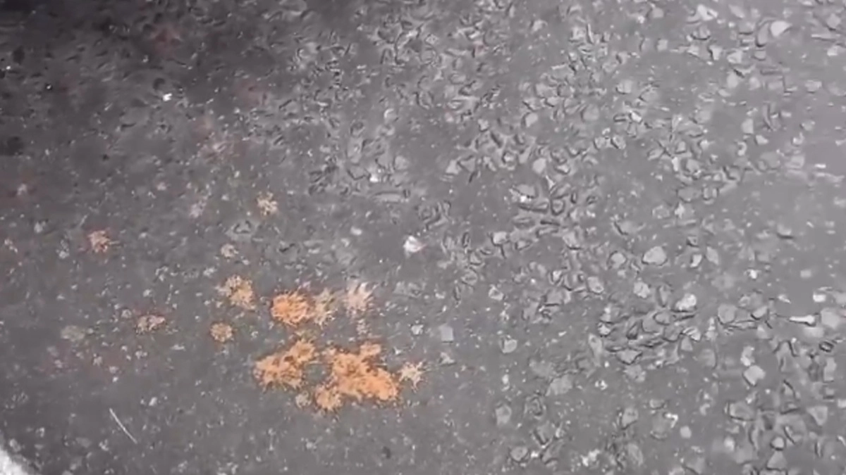 Viral Video: লন্ডন না কানপুর? ইউরোপের রাস্তা ভরে যাচ্ছে গুটখার দাগে? ভাইরাল ভিডিয়ো