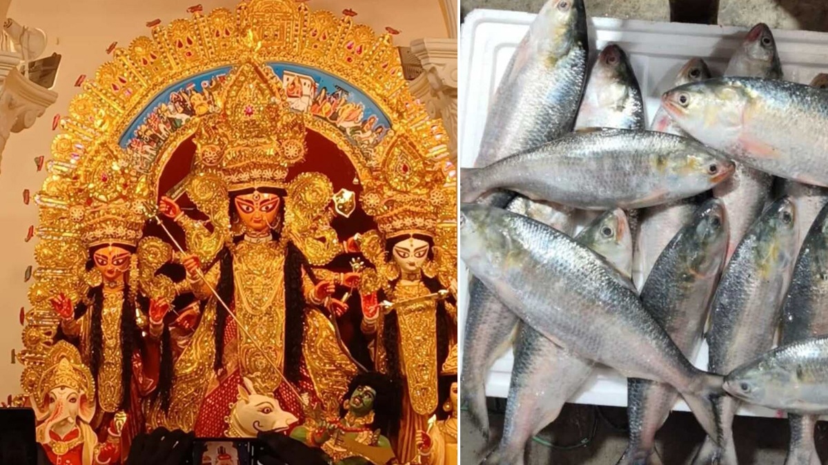 Durga Puja 2025: সপ্তমী সাড়ম্বরে চলছে, ইলিশের এই পদেই জমবে পুজোর দিনগুলি, দেখুন রেসিপি