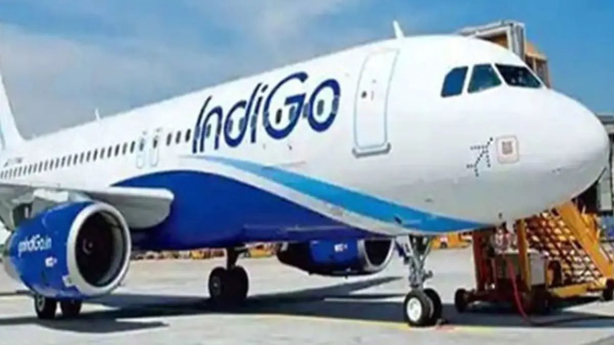 IndiGo Flight Diverted: ইথিওপিয়ায় ভয়াবহ আগ্নেয়গিরির জেরে মহাবিপদ থেকে বেঁচে মাঝ আকাশ থেকে ইউ টার্ন ইন্ডিগো বিমানের