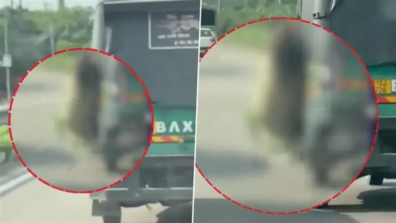 Ludhiana Auto Viral Video: চলন্ত অটোতে ফিল্মি কায়দায় চুরি, মহিলা যাত্রীর প্রাণ বাঁচালেন আশেপাশের গাড়িতে থাকা লোকেরা