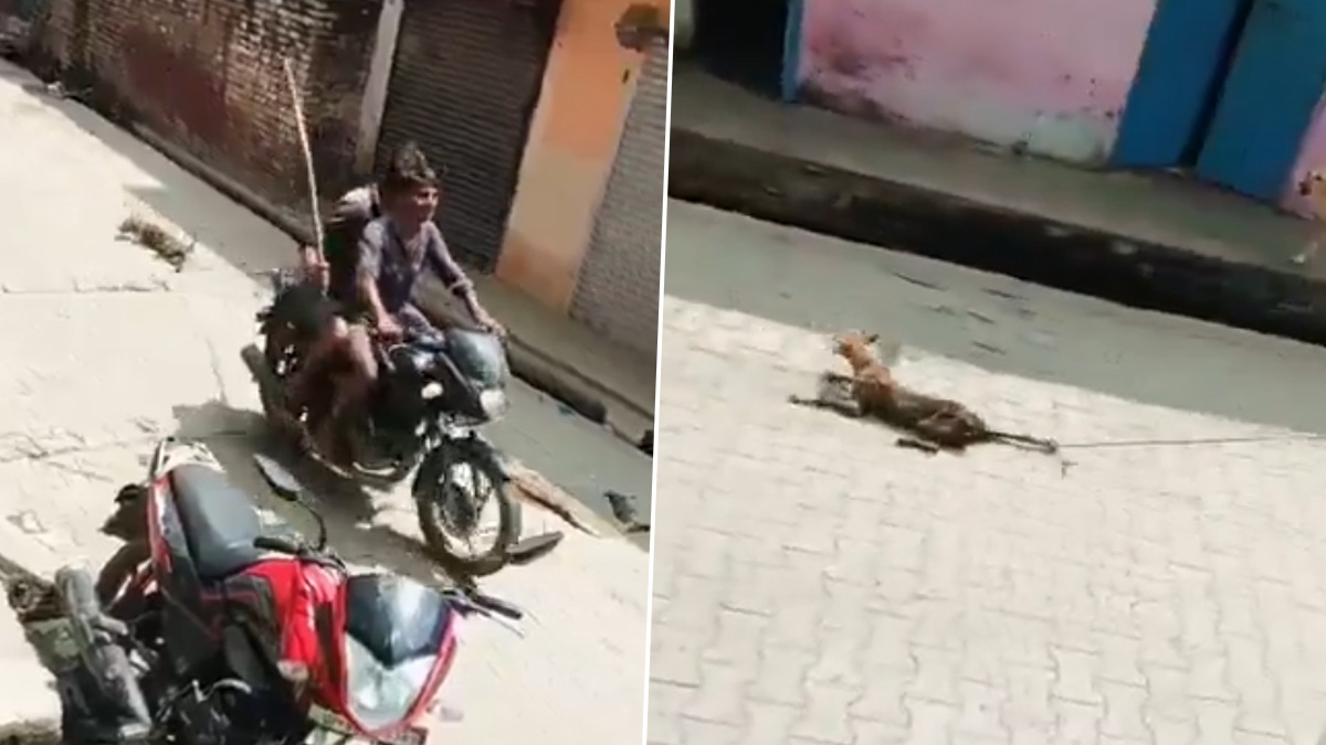 Shocking Video: অবলা পশুর উপর নির্মম অত্যাচার, বাইকের চাকার সঙ্গে দড়ি দিয়ে বেধে টেনে নিয়ে যাওয়া হচ্ছে কুকুরকে