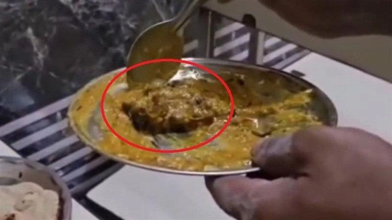 Dead Rat In Paneer: পনিরের তরকারিতে উঁকি দিচ্ছে মরা ইঁদুর, রেস্তোরাঁর বিরুদ্ধে বিস্ফোরক অভিযোগ যুবকের