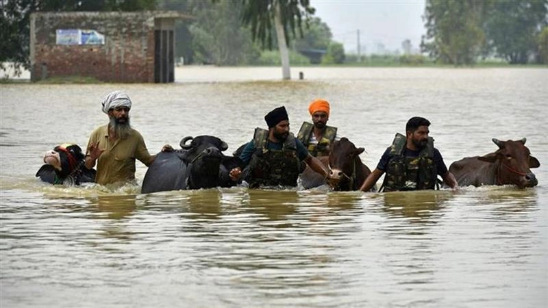 Pakistan Flood Warnings: বৃষ্টিতে উপচেছে শতদ্রু, পাকিস্তানকে বন্যার সতর্কবার্তা ভারতের