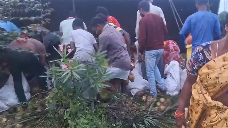Coconut Loot in Suryapet: দুর্ঘটনার কবলে নারকেল বোঝাই লরি, আহত চালককে ফেলে মালপত্র লুট করতে ব্যস্ত স্থানীয়রা, ভাইরাল ভিডিয়ো