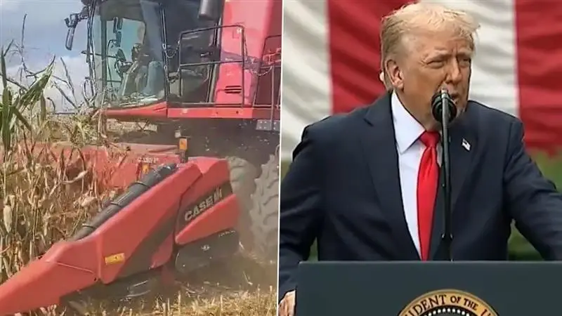 'India Won't Buy Our Corn': 'ভারত আমাদের একদানা ভুট্টাও কিনছে না', 'কান্নাকাটি' ট্রাম্প প্রশাসনের