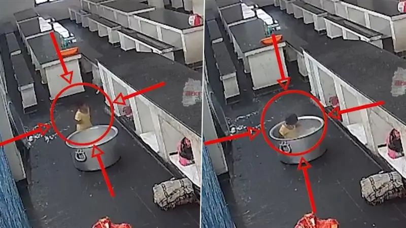 Shocking Video: স্কুলে গরম দুধের গামলায় পড়ল শিশু, মর্মান্তিক পরিণতির ভিডিয়ো ভাইরাল