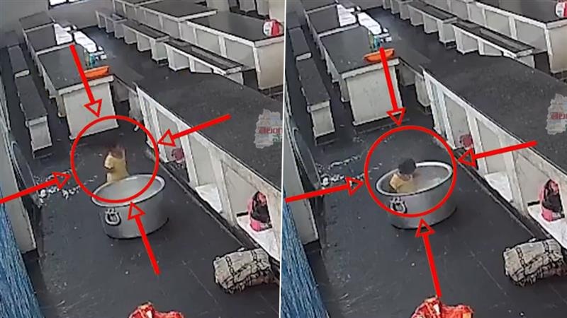 Shocking Video: স্কুলে গরম দুধের গামলায় পড়ল শিশু, মর্মান্তিক পরিণতির ভিডিয়ো ভাইরাল