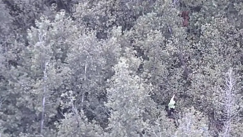 Shocking Video: ইউটিউবের চ্যালেঞ্জ নিয়ে ঘন জঙ্গলে হারিয়ে গেলেন মহিলা, তারপর কী হল দেখুন সেই ভয়ঙ্কর ভিডিয়ো