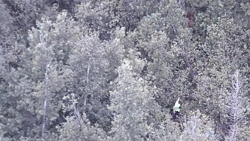 Shocking Video: ইউটিউবের চ্যালেঞ্জ নিয়ে ঘন জঙ্গলে হারিয়ে গেলেন মহিলা, তারপর কী হল দেখুন সেই ভয়ঙ্কর ভিডিয়ো