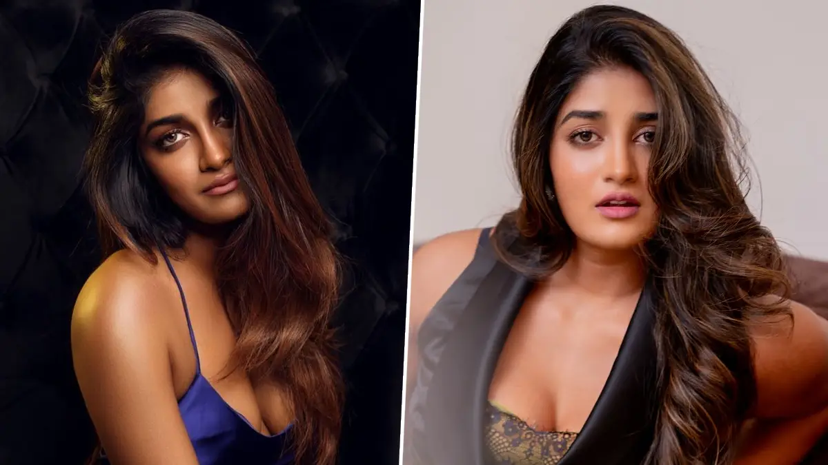 Dimple Hayathi: দক্ষিনী অভিনেত্রী ও তাঁর স্বামীর বিরুদ্ধে পরিচারিকাদের নির্যাতনের অভিযোগ, তদন্ত শুরু করেছে পুলিশ