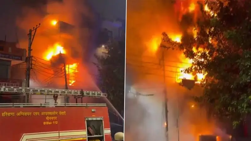 Fire Broke Out: গুরগাঁওয়ের শোরুমে ভয়াবহ আগুন লেগেছে, দেখুন ভিডিও