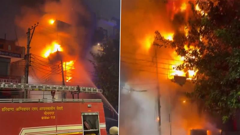 Fire Broke Out: গুরগাঁওয়ের শোরুমে ভয়াবহ আগুন লেগেছে, দেখুন ভিডিও