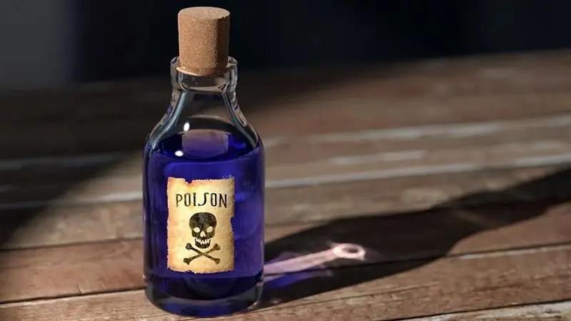 President Assassination Attempt: দেশের প্রেসিডেন্টকে চকলেটের মধ্যে লুকিয়ে বিষ রেখে হত্যার চেষ্টা