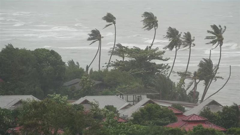 Cyclone Montha Landfall: প্রবল হাওয়ায় দুলছে গ্রাম, অন্ধ্র উপকূলে দাপট দেখাচ্ছে ঘূর্ণিঝড় মন্থা, কতটা প্রভাব কলকাতায়