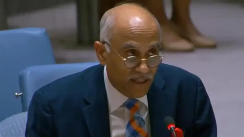 UNSC Open Debate on Women Peace and Security: 'নিয়মতান্ত্রিক গণহত্যা চালায় পাকিস্তান' রাষ্ট্রসঙ্ঘে পাকিস্তানকে কড়া জবাব দিল ভারত