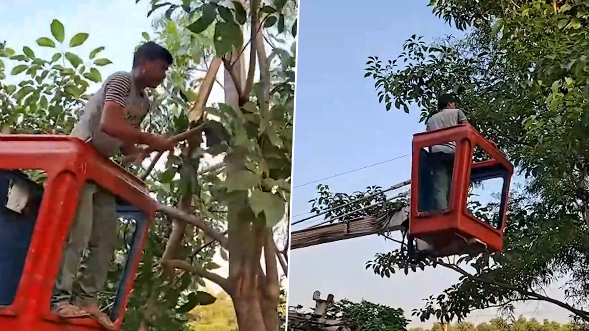 Durgapur: টনক নড়ল প্রশাসনের, ধর্ষণের ঘটনার পর অবশেষে কলেজ লাগোয়া রাস্তায় লাগল লাইট