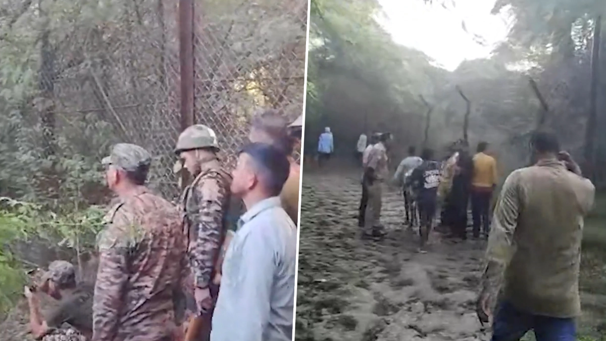 Leopard: গ্রামবাসীদের ফাঁদে বন্দি চিতাবাঘ, দেখুন ভিডিও