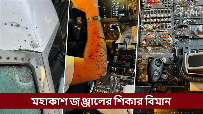 Space Debris Hits Plane: মহাকাশ থেকে ছিটকে আসা স্পেস ডেবরিসের আঘাতে ভাঙল বিমানের জানলা, জখম পাইলট, জরুরি অবতরণ