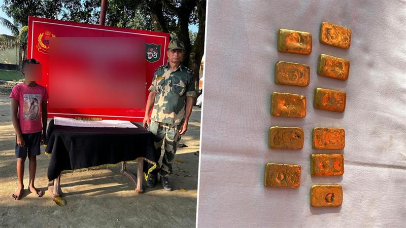 Gold Biscuit Seized: ১১টি সোনার বিস্কুট সহ এক নাবালককে আটক করল সীমান্ত রক্ষী বাহিনীর জওয়ানরা, চলছে তদন্ত