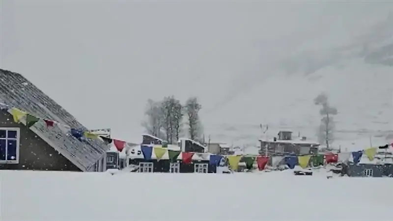 Manali Fresh Snowfall: মানালিতে মনোরম তুষারপাত, দেখুন ভিডিও