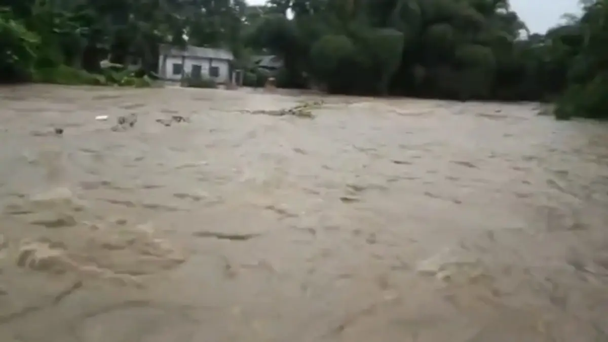 Jalpaiguri: রাতভর টানা বৃষ্টিতে জলমগ্ন জলপাইগুড়ি, আলিপুরদুয়ার ও দার্জিলিং, ঘরছাড়া ৫০০-এর বেশি পরিবার