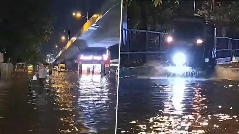 Surat Waterlogging: অসময়ের ভারী বৃষ্টিতে সুরাটের রাস্তা জলমগ্ন, গুজরাটের শহরে দুয়ারে হাজির নদী, দেখুন ভিডিও