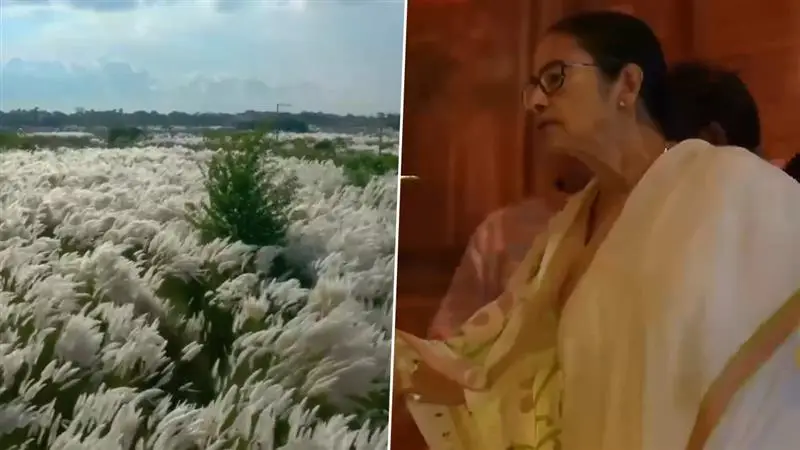 Bijaya Dashami Wishes By CM Mamata Bandopadhyay: নিজের লেখা ও সুর করা গান দিয়ে বিজয়া দশমীর শুভেচ্ছা জানালেন মুখ্যমন্ত্রী মমতা বন্দ্যোপাধ্যায়
