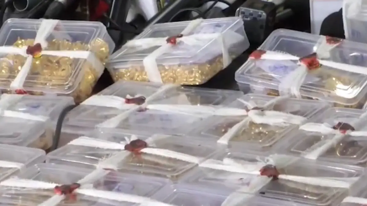 Bhopal Robbery Case: মদ্যপ অবস্থায় ধাবায় ঘুমিয়ে পডেছিলেন, গায়েব হওয়া কোটি টাকার গয়না উদ্ধার করল পুলিশ