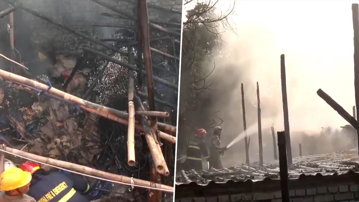Bhubaneswar Fire: ভুবনেশ্বরের সবজি মার্কেটে ভয়াবহ অগ্নিকাণ্ড, ঘটনাস্থলে দমকলের ১১টি ইঞ্জিন