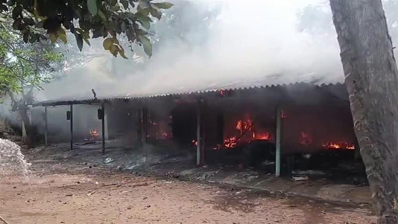 Explosion In Andhra Pradesh: দীপাবলির আগে বাজি কারখানায় ভয়াবহ বিস্ফোরণ, ঝলসে মৃত্যু ৬ কর্মীর, আহত ৮