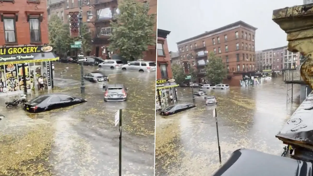 Brooklyn Flood Video: জামাইকার পর ব্রুকলিন, বন্যার ভয়াবহতায় ভেসে গেল সবকিছু, ভাইরাল ভিডিয়ো