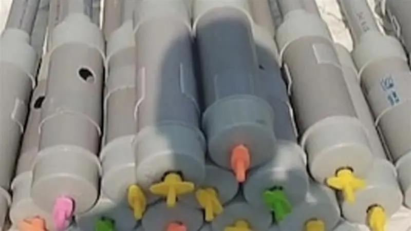 Madhya Pradesh: উৎসবের মাঝে বিষাদের সুর, কার্বাইড গান নিয়ে দিওয়ালি উদযাপন করতে গিয়ে দৃষ্টিশক্তি হারাল ১৪ শিশু