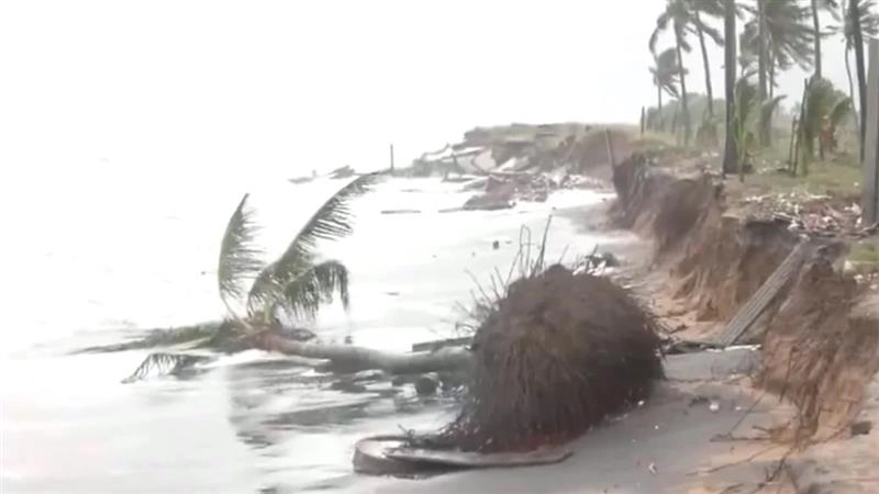 Cyclone Montha: ঘূর্ণিঝড় মন্থার 'ল্যান্ডফল' শুরু হল, ভয়ে কাঁটা অন্ধ্র, মানুষ কাঁপছে আতঙ্কে