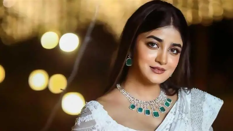 Dimple Hayathi Assault Case: পরিচারিকাকে হেনস্থার অভিযোগ দক্ষিণী অভিনেত্রী ও তাঁর স্বামীর বিরুদ্ধে