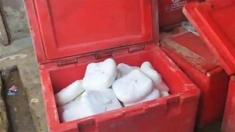 Adulterated Paneer: দীপাবলির আগে বাজার থেকে উদ্ধার ১০০ কেজি ভেজাল পনির