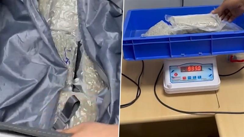 Ganja Rescued In IGI Airport: ব্যাঙ্কক থেকে বিপুল গাঁজা নিয়ে দেশে ফিরতেই পাকড়াও, দেখুন ভিডিয়ো