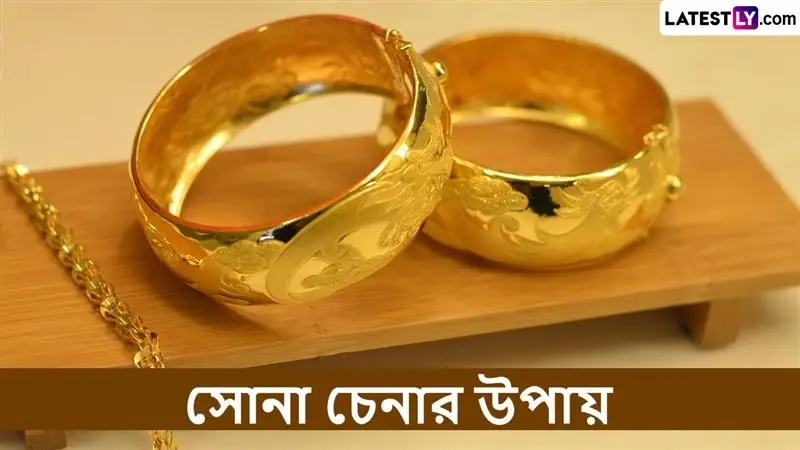Dhanteras 2025: হুটহাট পয়সা জলে দেবেন না; ধনতেরাসে খাঁটি সোনা চেনার উপায়, দোকানে গিয়ে না ঠকতে দেখে নিন গুরুত্বপূর্ণ টিপস
