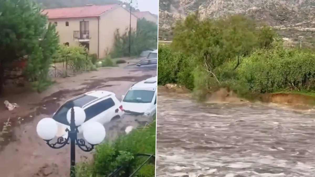 Hurricane Melissa Video: জামাইকা প্রায় ধ্বংস, ক্যাটাগরি ৫ হারিকেনের ধাক্কায় খেলনার মত ভেসে যাচ্ছে গাড়ি, বাড়ি সব, দেখুন