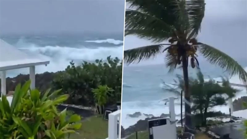 Hurricane Melissa: বিরাট বিরাট ঢেউ নিয়ে ফুঁসছে মেলিসা, প্রবল শক্তিশালী হারিকেন তছনছ করে দিতে পারে এই দেশকে, দেখুন ভিডিয়ো