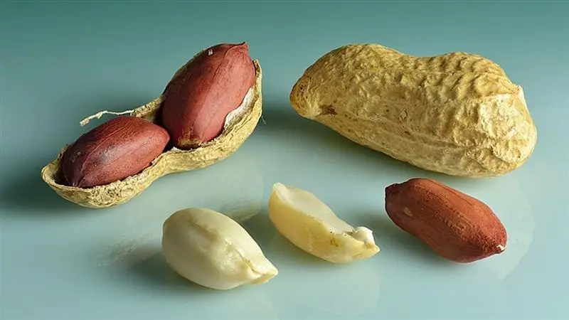 Health Benefits Of Peanuts: শীত পড়তেই হাঁচি, কাশিতে ভুগছেন? নিয়মিত বাদাম খান, শরীর থাকবে 'এ ক্লাস'