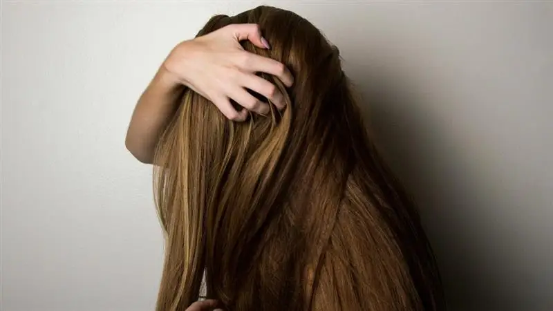 Prevent Hair Fall: চুল পড়া বন্ধ করুন এভাবে, এই টিপসগুলিতেই চুল হবে শক্ত, খোপার বাহারে মুগ্ধ হবে সবাই